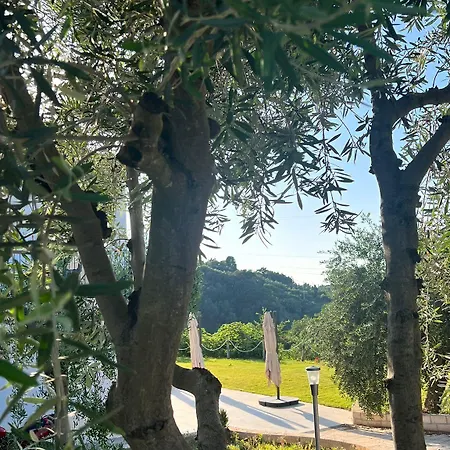 Matematico Pensjonat Vico Del Gargano