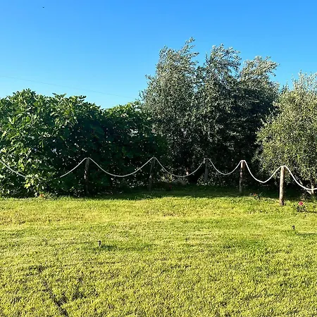 Maison d'hôtes Matematico Vico Del Gargano