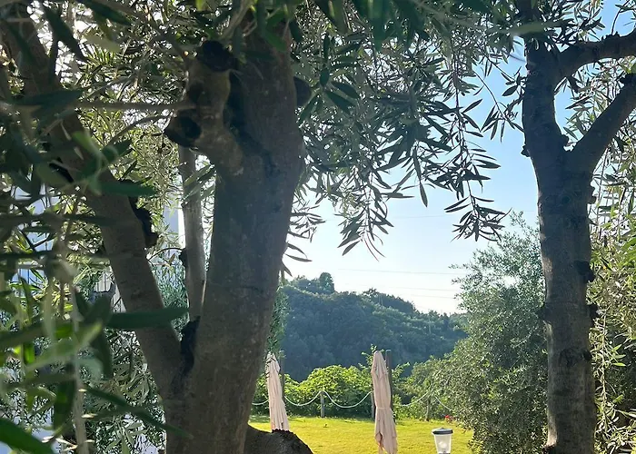 Matematico Affittacamere Vico Del Gargano