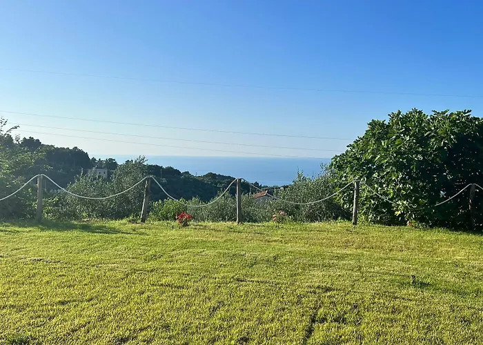 Matematico Affittacamere Vico Del Gargano